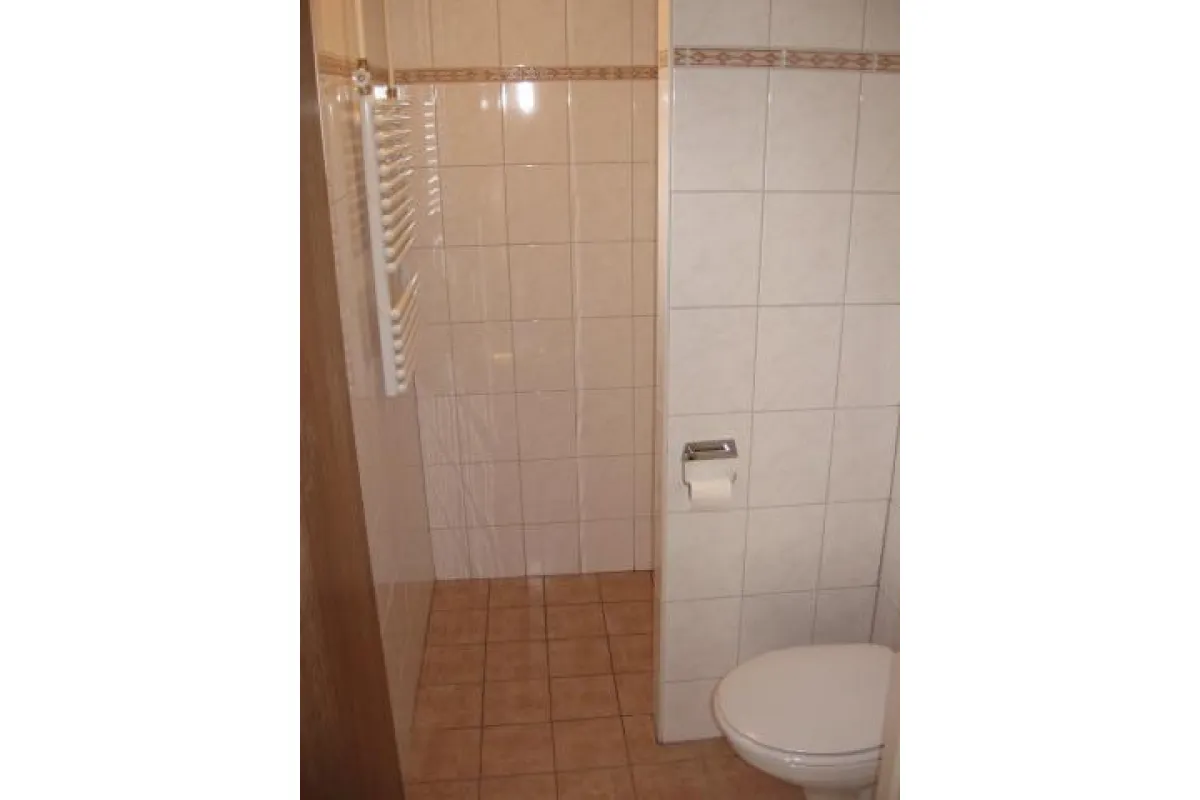badkamer met douche en toilet