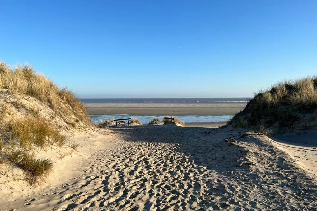 De Duinen