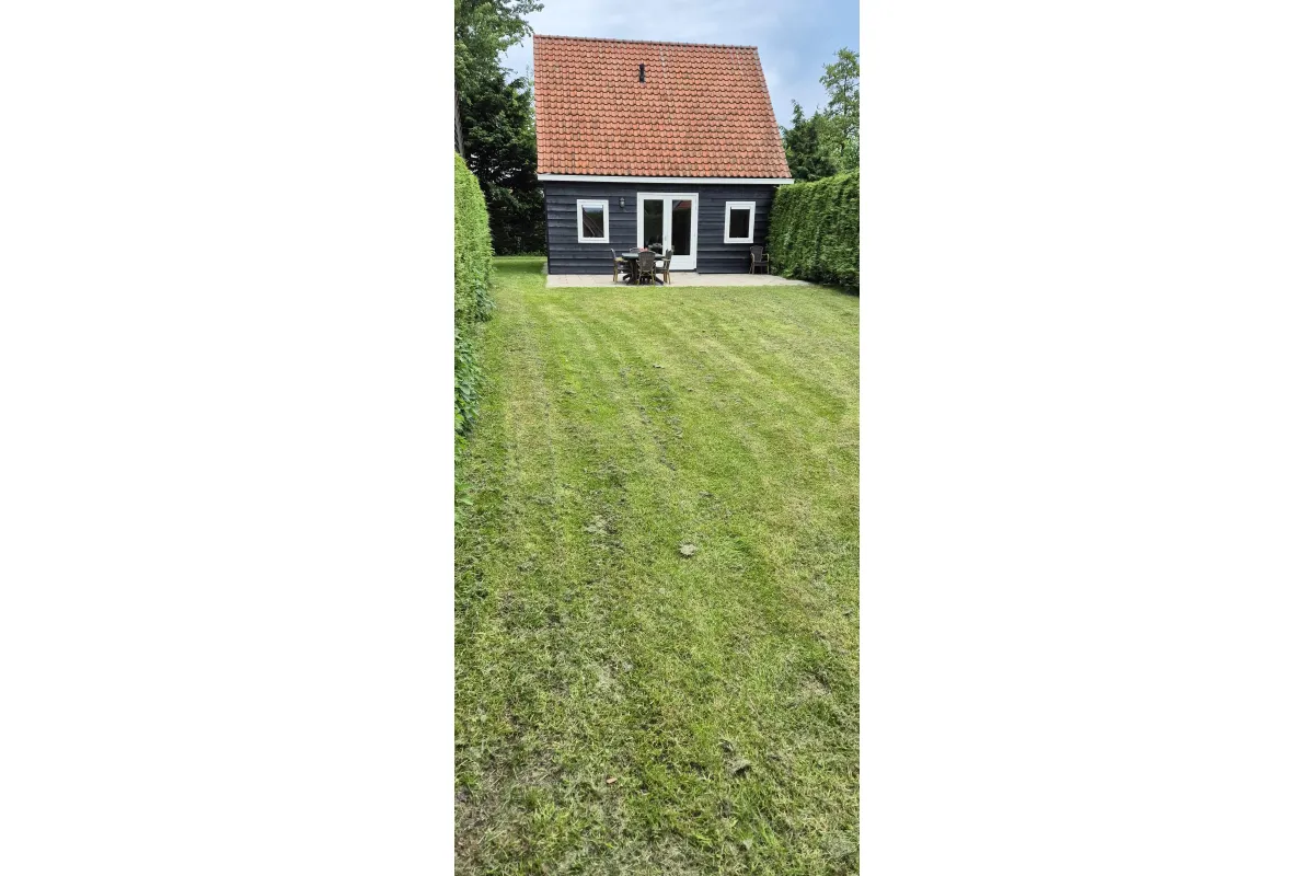 Tuin Populier