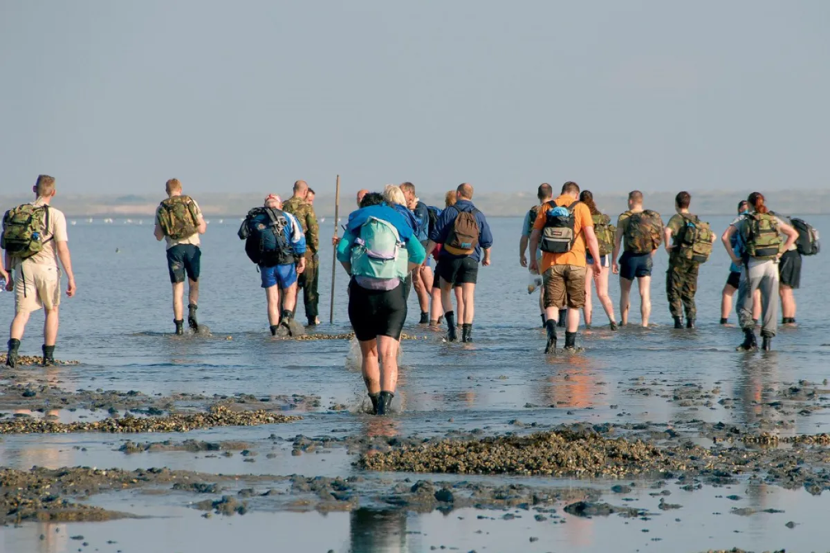 wadlopen.jpg