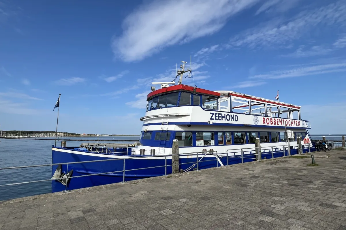 zeehondjes-van-dichtbij-bekijken.jpg