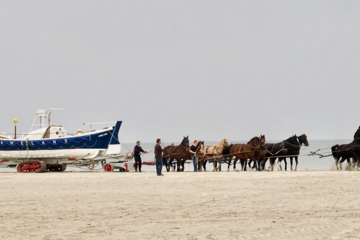 demonstratie-lancering-paardenreddingboot-abraham-fock.jpeg