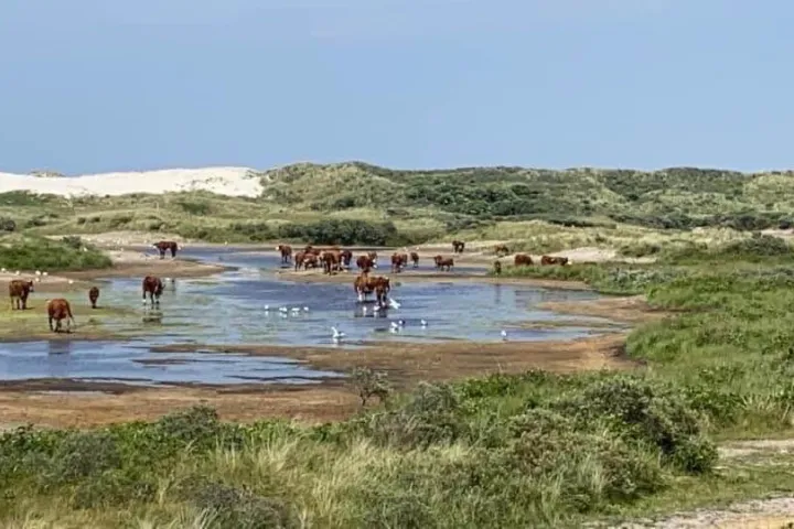 een-voorproefje-van-ameland-hier-in-beeld.jpeg