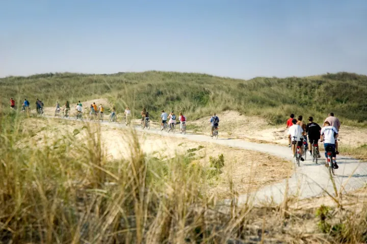 fietsen-op-ameland.jpg