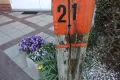 Huisnummer